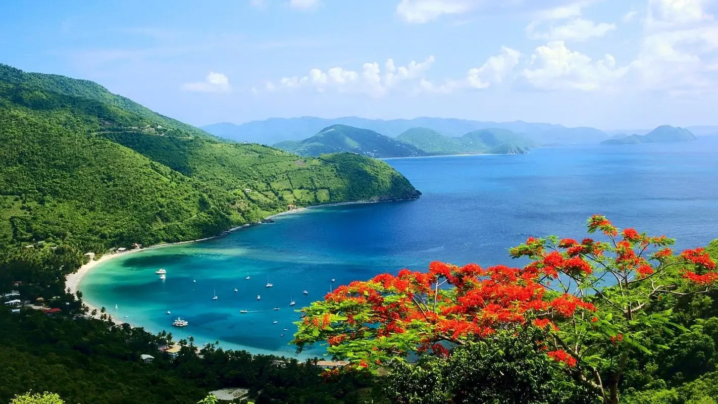 高性能自动化自动化